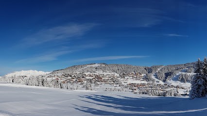 CHRISSIMMO Agence immobilière, Agence Immobilière à Hauteluce