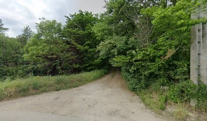 Faure Fiorello Marie Christine Odile, Agence Immobilière à Saint-Martin-la-Plaine