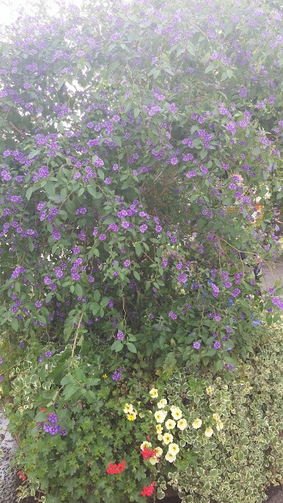 La Strasbourgeoise Habitat (SA), Agence Immobilière à Schiltigheim