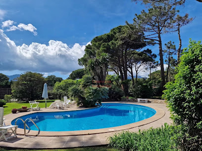 Calenzana Immobilier Sarl Agence Immobilière à Calenzana