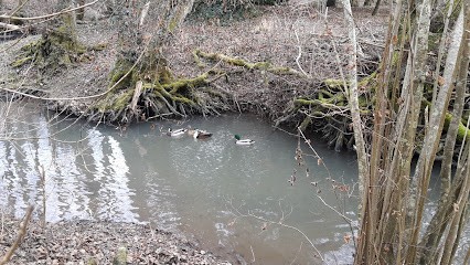 BILLIEZ EXPERTISES, Agence Immobilière à Bourg-Saint-Christophe