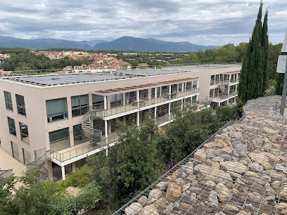 Nfi Consulting - Agence D'immobilier D'entreprise Alpes-Maritimes Agence Immobilière à Valbonne
