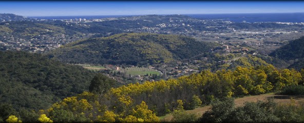 Agence Immobilière Terres de Siagne, Agence Immobilière à Grasse