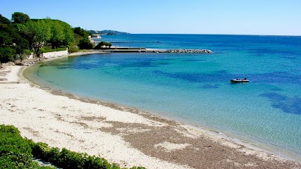 IMMOSUR, Agence Immobilière à La Croix-Valmer