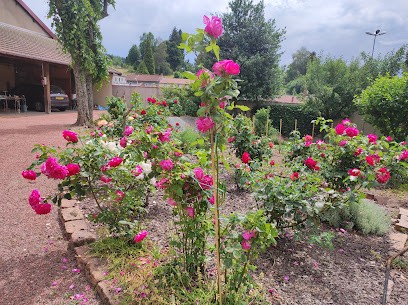 Cothenet Immobilier, Agence Immobilière à Cours