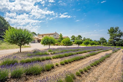 Michaël Zingraf Real Estate | Agence Immobilière Lourmarin, Agence Immobilière à Lourmarin