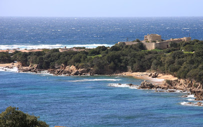 Agence Gti Immobilier Sartene / Propriano Agence Immobilière à Sartène
