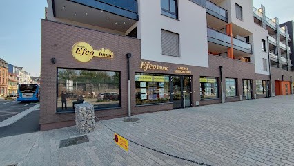 Efco Immo Agence Immobilière Saint-Louis, Trois Frontières (68), Achat, Estimation Et Vente, Agence Immobilière à Saint-Louis