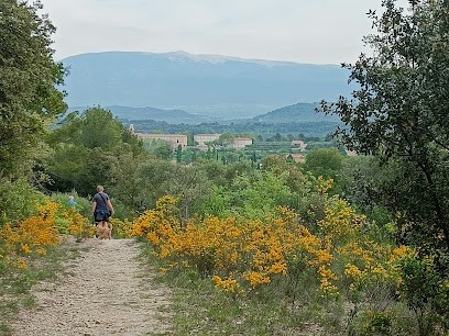 Côté Sud Provence, Agence Immobilière à Saint-Didier