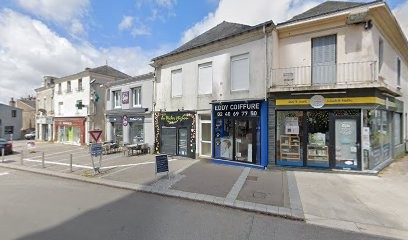 THEODORE IMMOBILIER, Agence Immobilière à Vertou