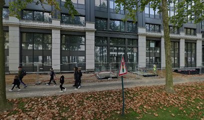 Bastien ARISTE-ZELISE EI, Agence Immobilière à Chessy