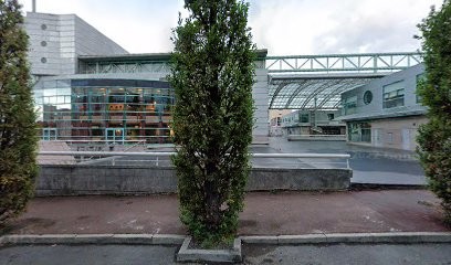 Vilmorin Immobilier, Agence Immobilière à Massy