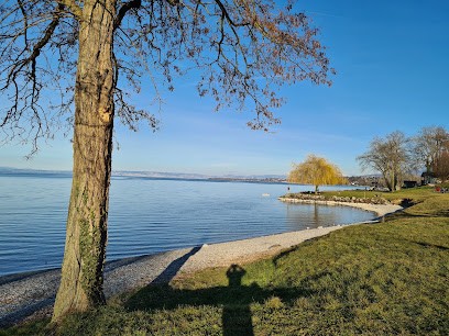Laurent Cosségal (Dr House Immo), Agence Immobilière à Thonon-les-Bains