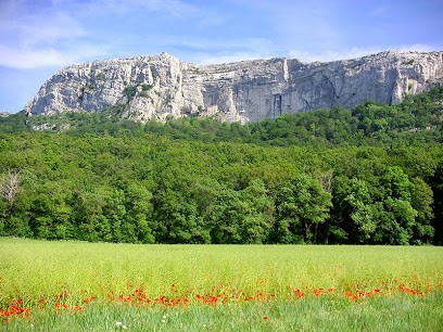 Sainte Baume Immobilier, Agence Immobilière à Nans-les-Pins