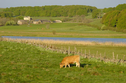 Malige Jean Jacques Conseiller Immobilier 3Gimmo Aubrac Margeride, Agence Immobilière à Fontans