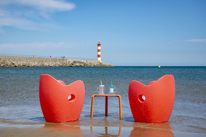 Immobilier Du Sud, Agence Immobilière à Port-la-Nouvelle