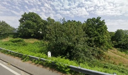 Immonext.com, Agence Immobilière à La Roche-sur-Yon