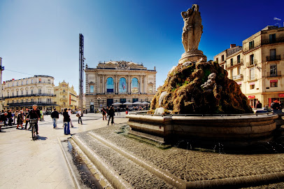 Jérôme Mineo Cdi Immobilier Neuf Agence Immobilière à Montpellier