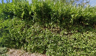 La Conciergerie De Karine, Agence Immobilière au Bourget-du-Lac