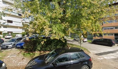 SUISSE IMMO CONSEILLER EN IMMOBILIER ALAIN DI BLASIO THONON OUEST, Agence Immobilière à Thonon-les-Bains