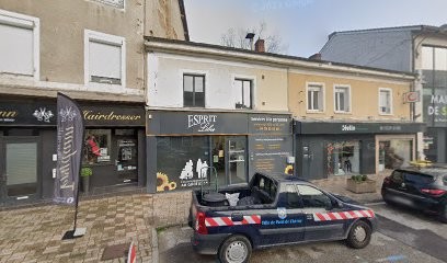 Crédit Agricole Centre Est Immobilier, Agence Immobilière à Pont-de-Chéruy