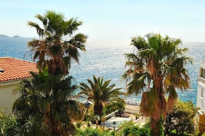 CONNEXION IMMOBILIER KENNEDY, Agence Immobilière à Marseille 07