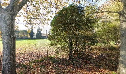 Pierre Philippe Carnus iad immobilier Revel & Lauragais, Agence Immobilière à Revel