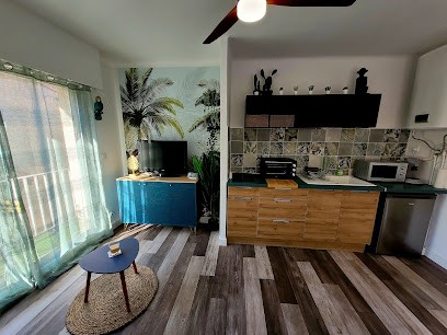 API Agence Pinard Immobilier, Agence Immobilière au Grau-du-Roi