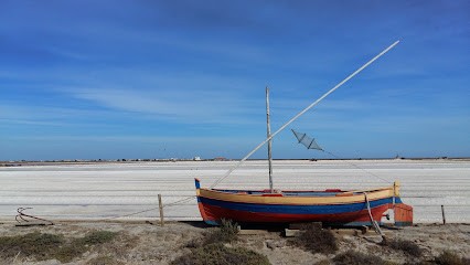 Occitanie Immobilier, Agence Immobilière à Gruissan