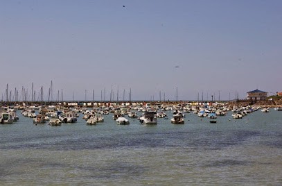 Jard Immobilier, Agence Immobilière à Jard-sur-Mer
