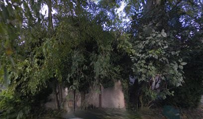 Cèdre Bleu Immobilier, Agence Immobilière à Steinbrunn-le-Bas