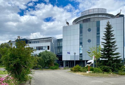 4%Immobilier Eurométropole, Agence Immobilière à Schiltigheim