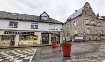 Aline immo', Agence Immobilière à Schirmeck