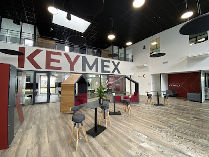 Nihal Papegay Keymex Immobilier Agence Immobilière à Taverny