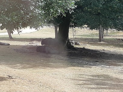 Agence Latour Transactions, Agence Immobilière à Goussainville