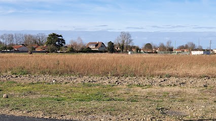 Franck Peille-Conseiller en immobilier-SOUES-IAD France, Agence Immobilière à Soues