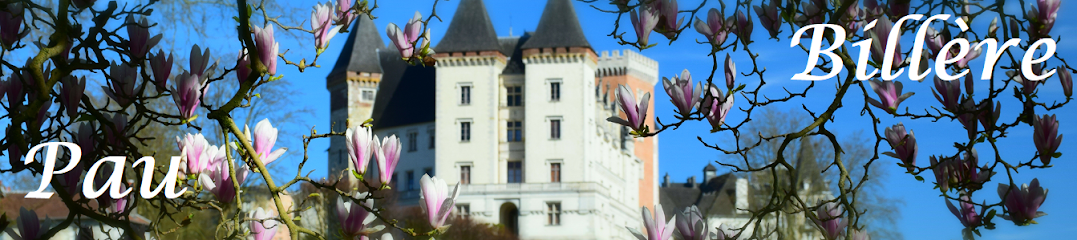 Cédric Duclos Iad France Agence Immobilière à Billère