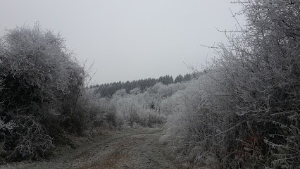 Clos Bellevue, Agence Immobilière à Sierck-les-Bains