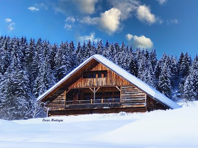 COEUR MONTAGNE, Agence Immobilière à Thyez