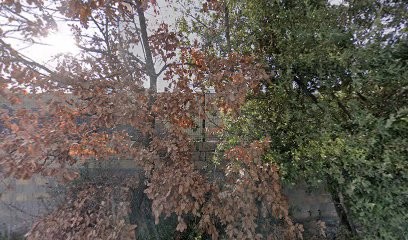 AGENCE DU COIN GM, Agence Immobilière à Trans-en-Provence