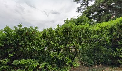 Mathieu LENEPVEU - IAD FRANCE MEYLAN Et Alentours, Agence Immobilière à Meylan