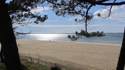 Chasseur immobilier Gironde (33) Bassin d'Arcachon, Agence Immobilière à Gujan-Mestras