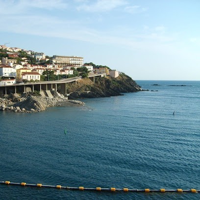 BSK IMMOBILIER Jean-Joseph VICTORIA, Agence Immobilière à Saint-Laurent-de-la-Salanque