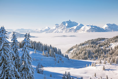 Up And Co Immo Agence Immobilière au Grand-Bornand