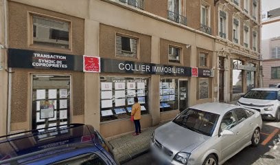 Collier Immobilier, Agence Immobilière à Mâcon
