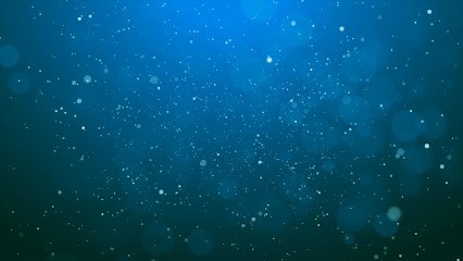 Immo Alienor Lissieu, Agence Immobilière à Lissieu