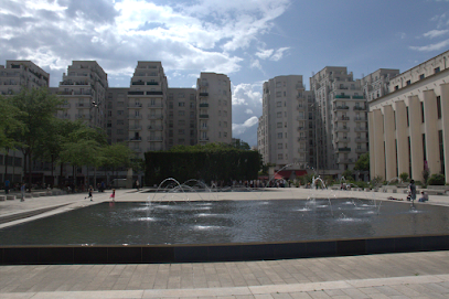 Chomel Immobilier Agence Immobilière à Villeurbanne