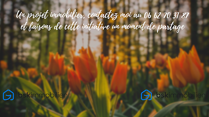 Immobilier Desseix Werle Sandrine 91680 Agence Immobilière à Bruyères-le-Châtel