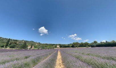 Sci Du Hameau Des Soldats, Agence Immobilière à Gordes