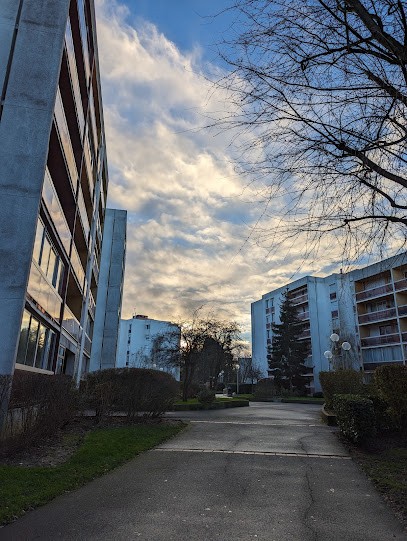 Alrick Gillet - IAD immobilier Elancourt, Agence Immobilière à Élancourt